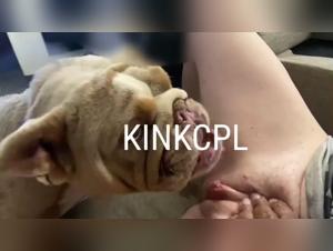 Girls fucking with their dogs at Zoo Tube