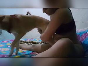 GirlsWhippingDogsXxoo