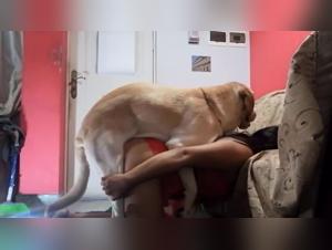 Go beyond the limits: hardcore zoophilia and brutal desire