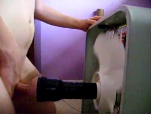 Go beyond the limits: Milly and Her Dog in an Obscene Dance