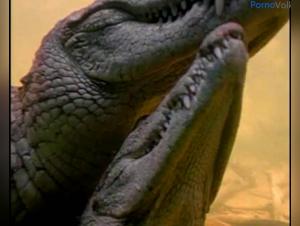 Gone Frontiers: The Wild Power of the Crocodile