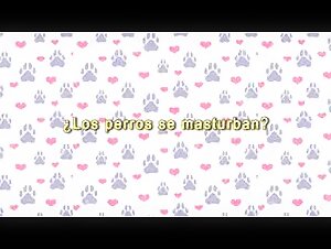 Guide to sex with dogs 2