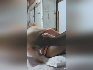 Guilt and Delight: The Zoophile Universe