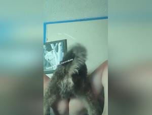 Guilt and Desire: The Torrid Loneliness of a Woman and Her Dog