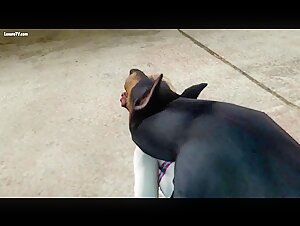 Gwen Stacy: A Lively and Unexpected Encounter