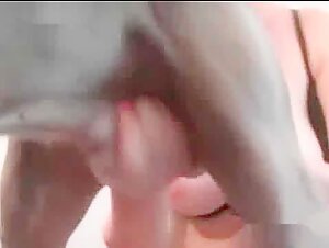 Handling the Exotic Dog