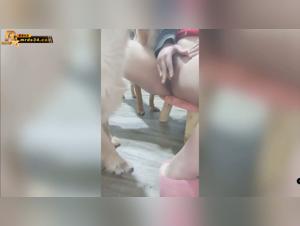 Happy Dogs: Unleash your darkest fantasies