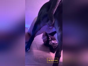 Hardcore animal fuck with Sonya