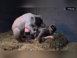 Hardcore Animal Scam: Yasmin and her Dark Desire