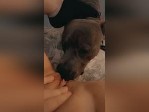 Hardcore bestialite: selfie of domination