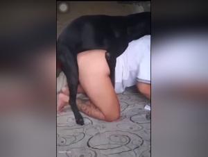 Hardcore bestialite: the raw drive triumphs