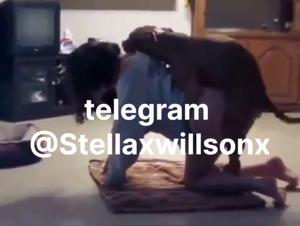 Hardcore Bestiality: Unleashed Slut, Devoted Dog