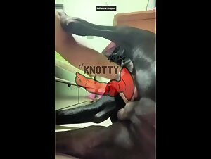 Hardcore Bestiality with Latina and Dogs in Mexico City Landscape