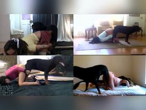 Hardcore video: Legacy cupcake - Doggy Style Teen Extremo