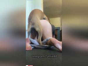 Hardcore zoophilia: obese mother dominated by a dog