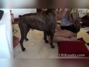 Hardcore Zoophilia: Prohibited Delights