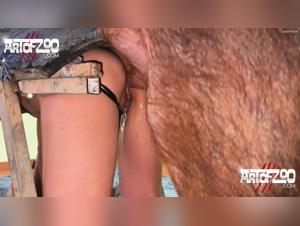 Hardcore zoophilia: Pumbaa the pig grabs a woman