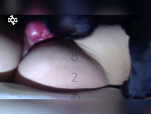 Hardcore Zoophilia: Salacious Delights with Dog