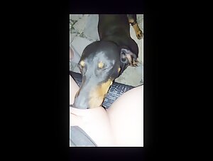 He loves petting his dog