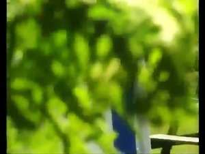 Heat Marathon - K9 Dolls