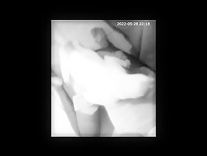 Hidden camera: A forbidden encounter with a dog