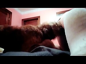 His bitch of a female dog