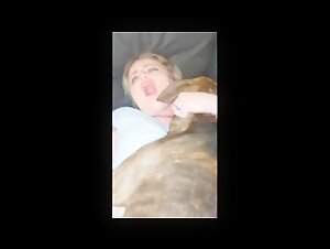 His Little Canine Buddy