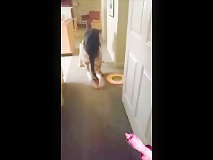 Home Zoo: A Wild and Exciting Experience