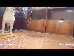 Horny Dog: A Forbidden Love Story