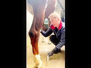 Horse Cock - Bestiality Video