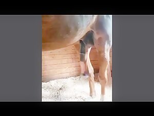 Horse in Sudden Excitement