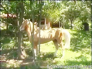 Horse Milly 1: An Exciting Bestiality Experience