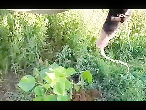 Horse with a powerful jet (slow) - Full version