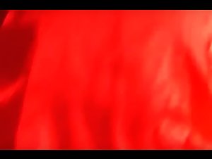 Hot summer: Xmas under the sign of zoophilia - Zooskool