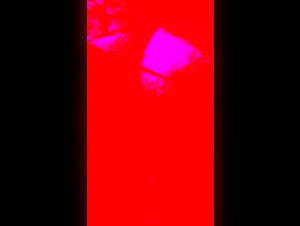 Hot woman fucked by her dog