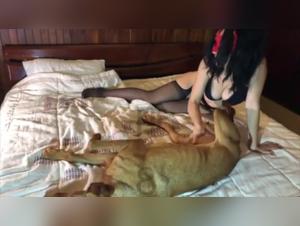 Hotel Cow Girl: Raw Animal Desire