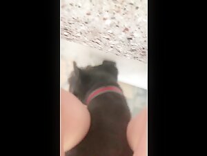 How he shows me that he wants to make love with a dog