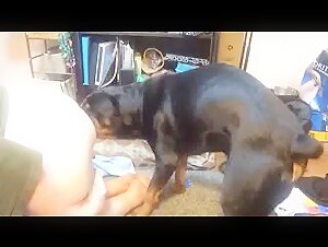 How to find more videos of this girl with a dog