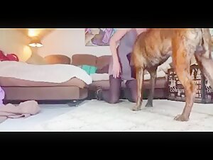 Husband and Wife Make a Beastly Video