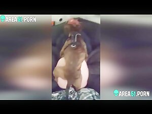 Husbands allows dog to fuck his generous butt wife