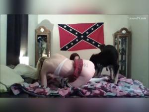 Icedone Star: Animal Obsession Exploded