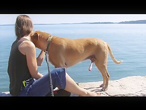 Image simulation but still exciting