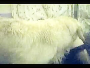 In Bed With Shylark II - A blonde and her dog