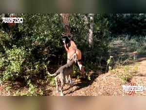 In instinct claws: Hardcore animal sex exposed