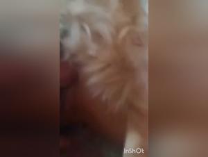 In the claws of the wild beast: Zoofilic Pleasure