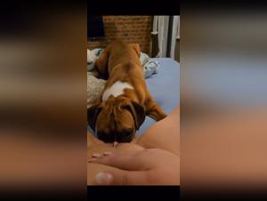 Incestuous Delights: The Canine Fantasy of a Wild Frenchwoman