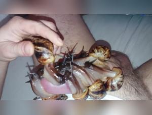 Indecent Zoophilia: Female and Canine Debauchery