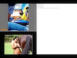 Indian College Students and Animals: An Unexpected Encounter