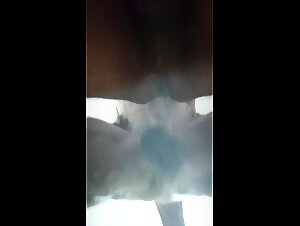 Indian dog discovering a hole