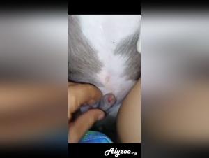 Indian submission to animal instinct